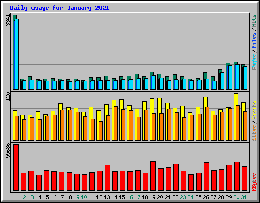 Daily usage for January 2021