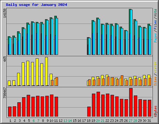 Daily usage for January 2024