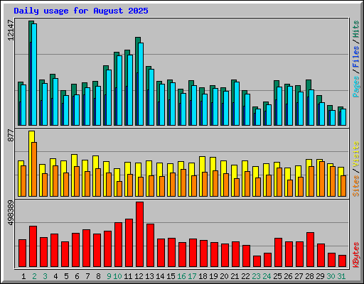 Daily usage for August 2025