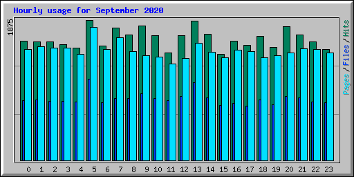 Hourly usage for September 2020