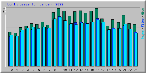 Hourly usage for January 2022
