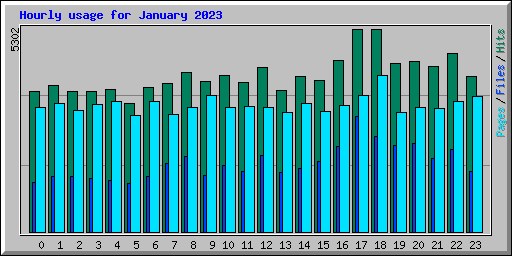 Hourly usage for January 2023
