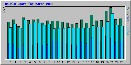 Hourly usage for March 2023
