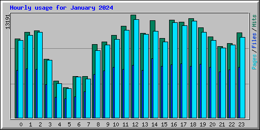 Hourly usage for January 2024