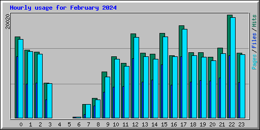 Hourly usage for February 2024