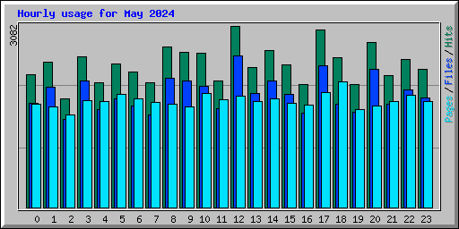Hourly usage for May 2024