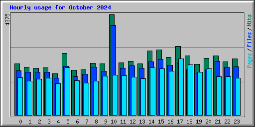 Hourly usage for October 2024
