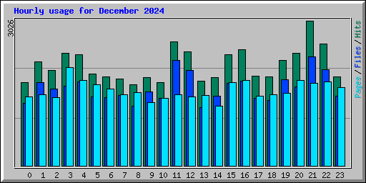 Hourly usage for December 2024
