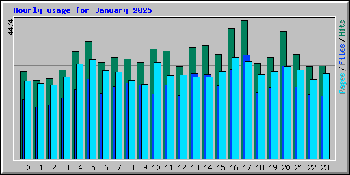 Hourly usage for January 2025