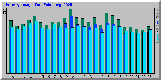 Hourly usage for February 2025