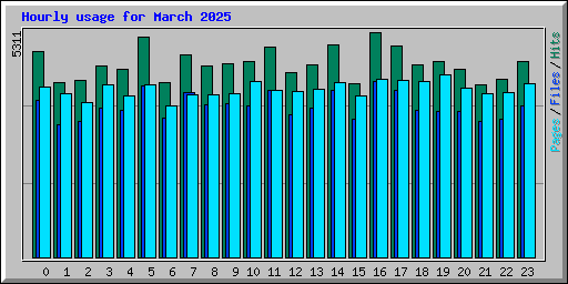 Hourly usage for March 2025