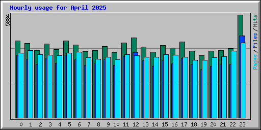 Hourly usage for April 2025