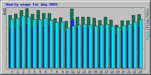Hourly usage for May 2025