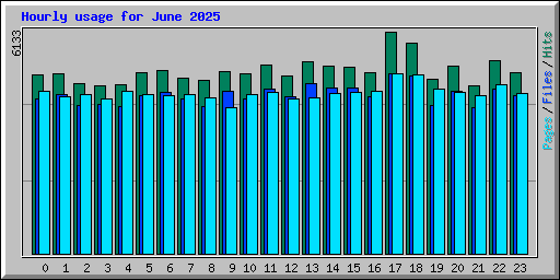 Hourly usage for June 2025
