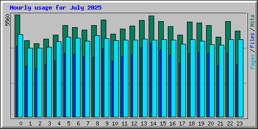 Hourly usage for July 2025