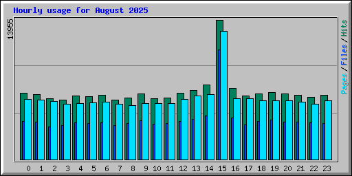 Hourly usage for August 2025