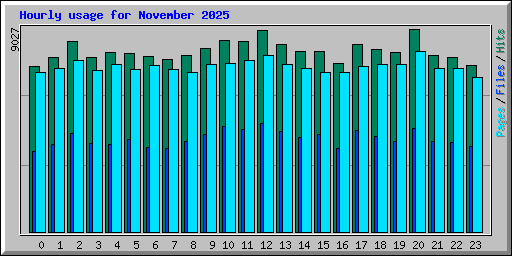 Hourly usage for November 2025