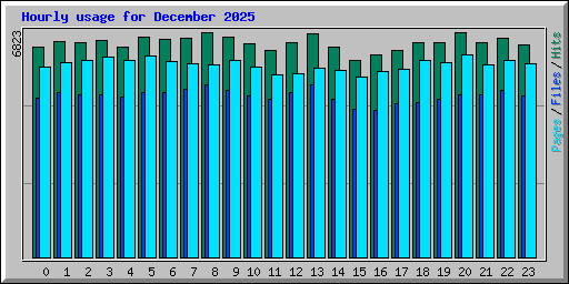 Hourly usage for December 2025